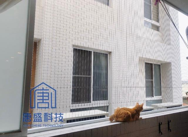 唐盛科技,隱形鐵窗,台南南區防貓